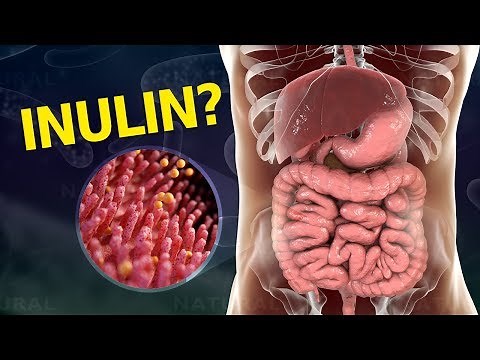 Why Your Gut Needs Inulin and How To Get It