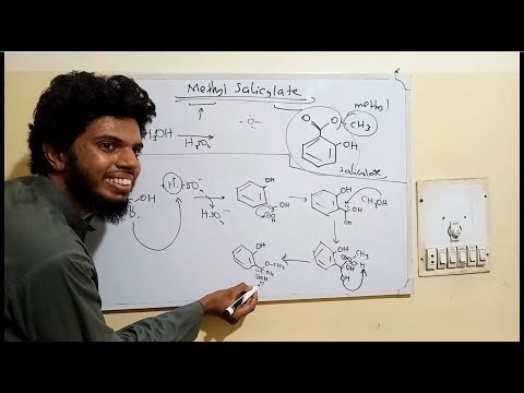 Methyl Salicylate synthesis mechanism