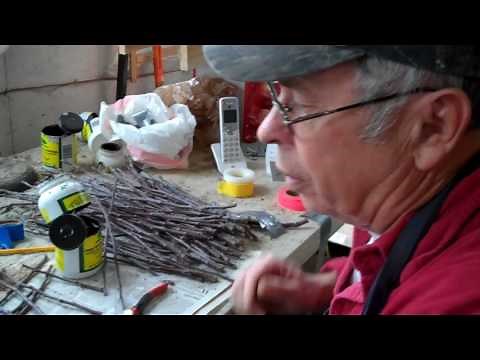 Bench Grafting Apple Trees with Whip & Tongue and Bark Grafts