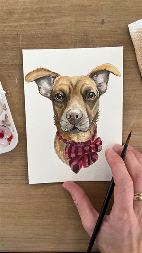 Meet Coco, our dog for the watercolor dog portrait masterclass on December 12th! 😍🐶🖌️ Oh my was it soooo hard to choose which dog to paint for this year’s class! I’ve never had so many entries and so many amazing pups to choose from 🥲 Thank you all SO much for your entries ❤️🐶 Can’t wait to show you how to paint this dog from start to finish! We’ll discuss my favorite pet portrait supplies, I’ll share my tips and techniques for color mixing, layering and creating fur textures, and there wil