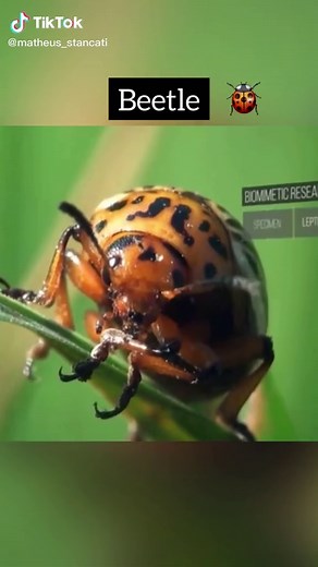 The robots are so satisfying tho ✨ #architecture #fabrication #robot #ai #design #fyp #learnontiktok #tiktokpartner #15sarchitecture