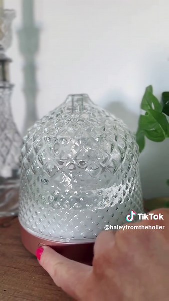Beautiful Glass Diffuser for Aromatherapy and Home Decor
