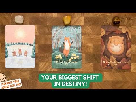 Your Biggest Shift In Destiny! 🔁 ✨ | Timeless Reading
