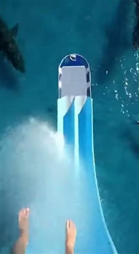 Slide down into the pool teeming with giant sea creatures #funny #memes