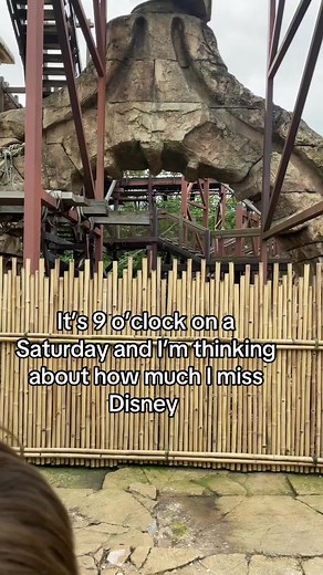 Rediscovering Disneyland Paris: A Theme Park Journey