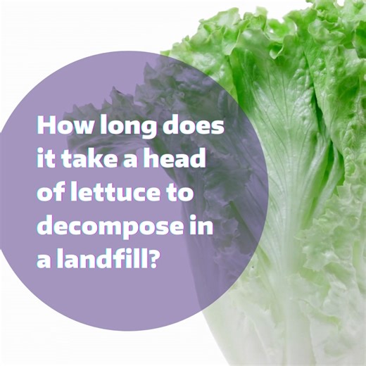 It's #NationalNutritionMonth which means it's time to learn about...