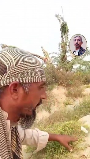 15K views · 467 reactions | Inside Jungle #video #Foryou #Rehmat | Chacha Production | Facebook