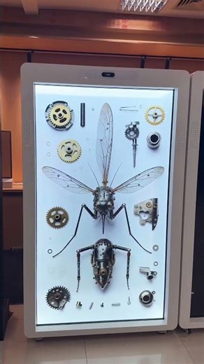 Hologram Box Display Showcase | Futuristic 3D Hologram Display Technology