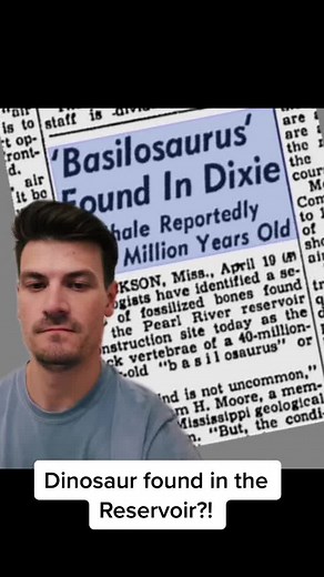 Basilosaurus: Prehistoric Whale Found in Mississippi Reservoir