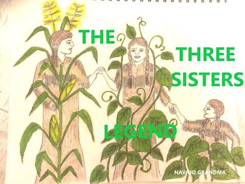 Navajo Grandma "THREE SISTERS LEGEND"