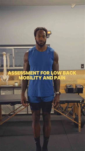 Low Back Pain Functional Screen