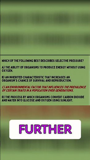 Exam Prep: Playlist & Podcast Review for Your Success