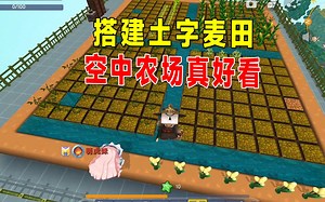 迷你新生存9：八哥携手虎妹子搭建土字麦田，空中农场真好看