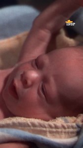 172K views · 8.3K reactions | Someone's had a bit too much eggnog.  3 Godfathers, Sunday at 9p ET. | INSP | Facebook