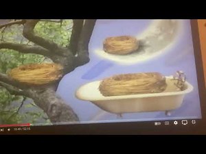 Elmo World Birds Quizzes