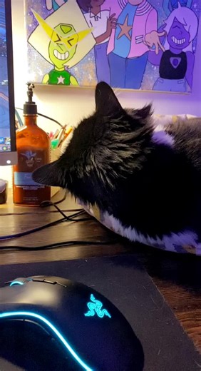 Discover the Meaning Behind 'Did Anyone See That?'