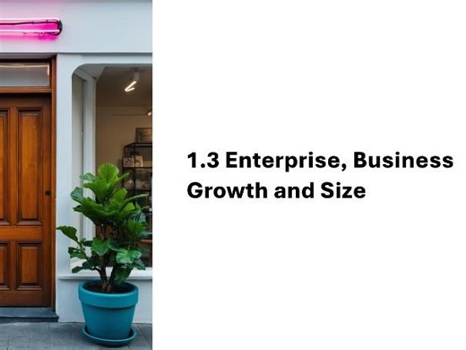 Cambridge IGCSE Business Enterprise Growth Size PowerPoint 2026 Exams Complete Unit 1.3 Resource | Teaching Resources