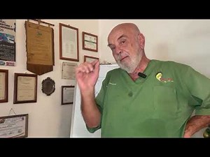 DONDE Y COMO APLICAR UNA INYECCIÓN INTRAPERITONEAL