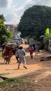 19M views · 495K reactions | I can’t stop laughing 藍藍#prank | Dancephilos World | Facebook