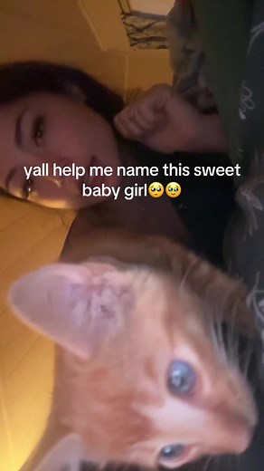 Sugerencias de nombres para gatos naranjas