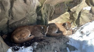 Spring break activities in Minnesota