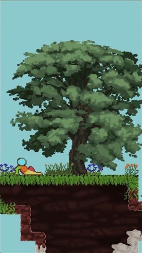 One Tree Evolution Through Every Season