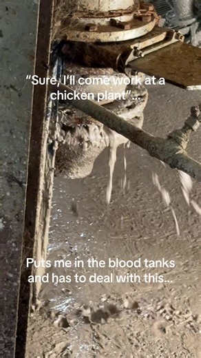 Challenges of Working in a Chicken Plant