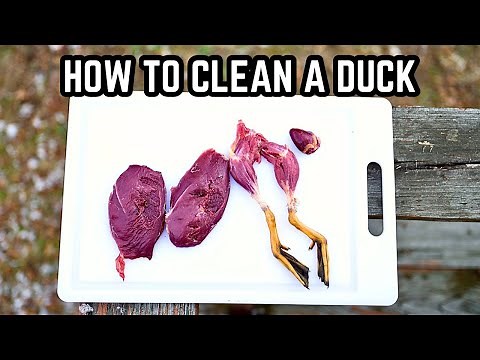 How to Clean a Duck