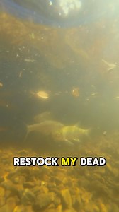 So I Started A Minnow Farm 😂🐟 (part 2) #fishing #funny | Broke Boys Fishin'