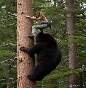 😱🚨 SHOCKING! A bear was chasing a woman, and she hid in a tree… But it DIDN’T GIVE UP 😨 WATCH how it all ended! 👶💔 Find out more in the first comment 👇👇 | Cute Animals