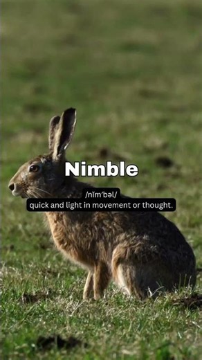 Word of the Day: NIMBLE - American English Language School