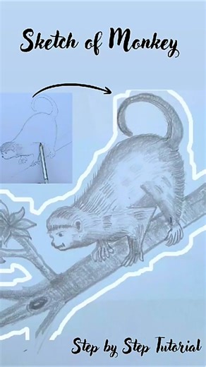 Sketch of Monkey..... Step by step tutorial....#artistreel #drawing #artlovers #art #sketch #drawing