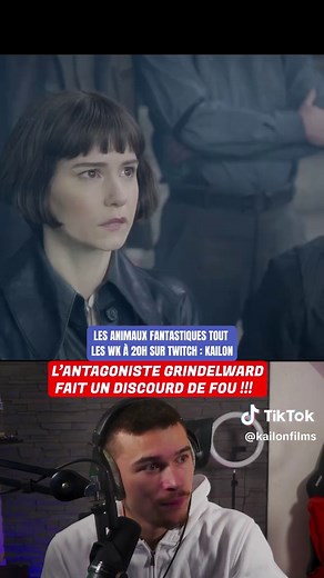 Découverte des Animaux Fantastiques et Harry Potter