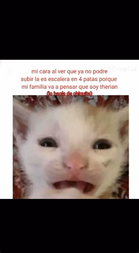 Chale #memes #humor #duet #lifeisbutadream #dibujo #planet #planet #yosoydelos7mil #roblox #shorts