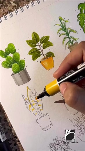 How to Draw Snake Plants: A Step-by-Step Guide