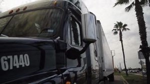 51 reactions · 16 shares | Exciting news alert!  STVT is thrilled...