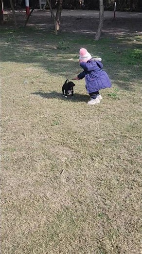 Bum Bum Bole Songs #tapsi #love #cute# #Dogslover#