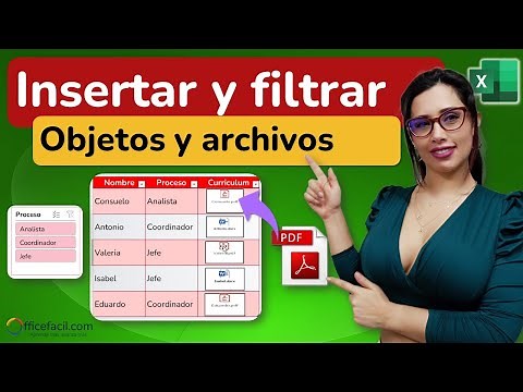 Cómo Insertar objetos y filtrarlos en #excel