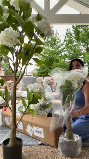 Like Comment TREE for links! 🔗 These Amazon hydrangea trees look so real and take zero maintenance 🌿 #amazonpartner #amazoncreatorfinds #FoundItOnAmazon #AmazonHome #AmazonInfluencerProgram #HomeGreenery #OutdoorDecor #ArtificialPlants LinkDM *081* | Shannon Gold Design