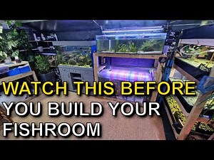 3 TIPS To Create The PERFECT FISH ROOM | Embracing Multiple Tank Syndrome