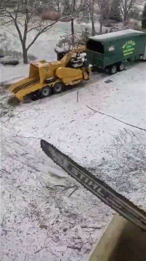 Dead Oak tree exploding!!! #tree #farming #snow #christmas