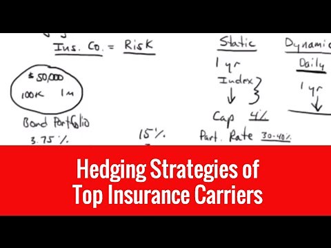 Hedging Strategies: How Insurance Companies Hedge their Indexed Platforms