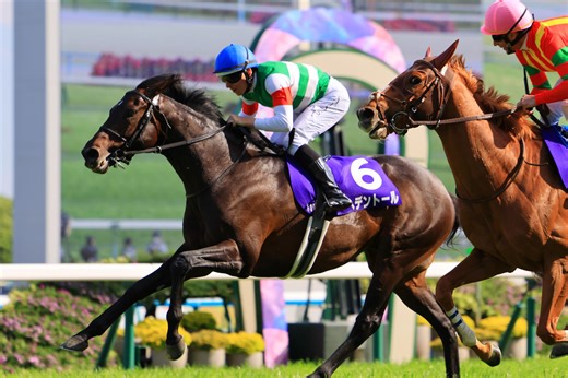 It’s Tenno Sho (Spring) Week, Here’s What You Need To Know