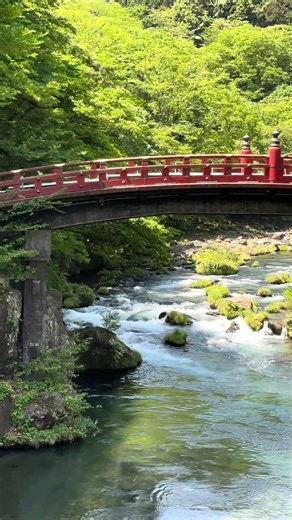 Shinkyo Bridge in Fresh Green Nature | The Sacred Entrance to Nikko