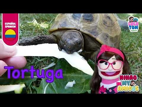 Pets in Spanish for Kids | Learn Animal Vocabulary with LuluTom | Mascotas en Español