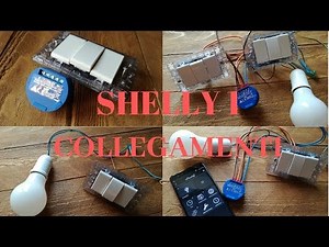 shelly 1 collegamenti