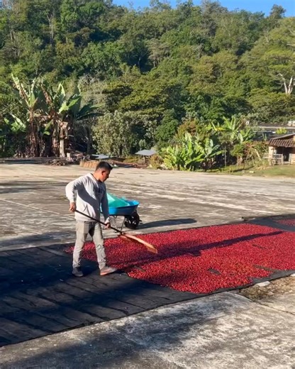 1.2K views | Angelino's Coffee on Reels | Facebook