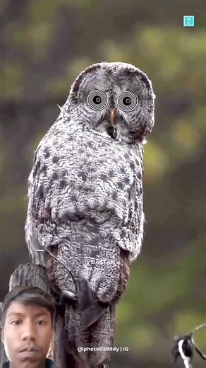 🐾👀 “The Deadly Dance: Stoat Hypnotizing a Rabbit!” #Stoat #Rabbit #AnimalFacts #Wildlife #Nature