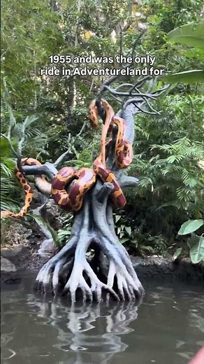 Adventureland's Hidden History! 🌴🏰#disneyland