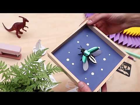 How to make a paper Firefly | Assembli 3D insect model